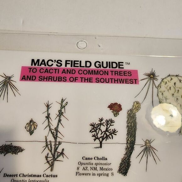 Mac's Field Guide To Cacti and Common Trees and Shrubs of the Southwest - Picture 4 of 4